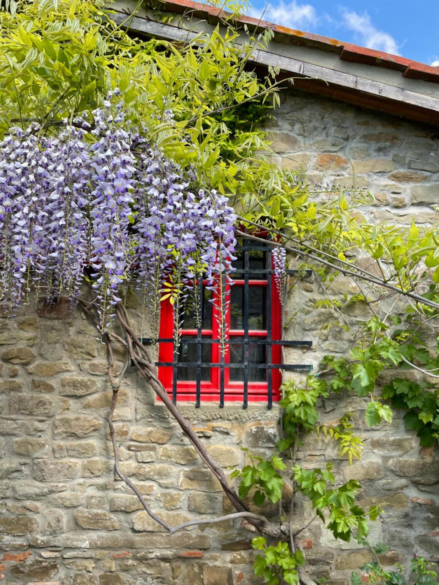 Borgo La Capraia Pensionat Castelfranco di Sopra Exteriör bild